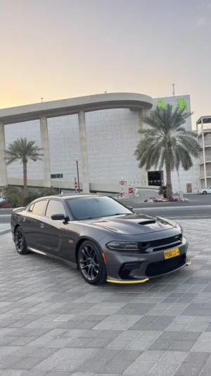 Used Dodge Charger in Muscat
