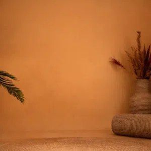 خلفيات للتصوير