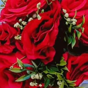 اريج ابوشيخة 