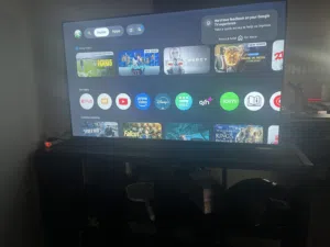 Philips 55Inch TV