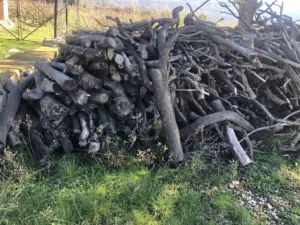 DRIED OAK FIRE WOOD FOR SALE