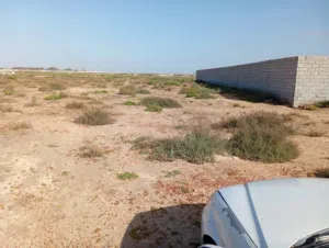 قطعة ارض هكتار