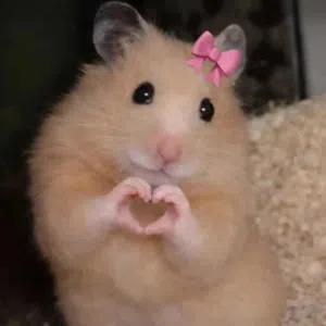 للبيع سوري جمله