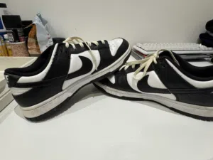 Nike Panda Low Dunk