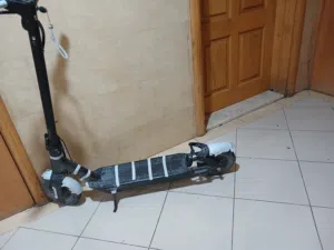 سكوتر ninebot g30 مركب عليه مساعدات خلفيه مع الشاحن اصلي.