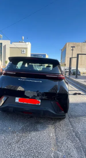 بي واي دي سيجال BYD seagull
