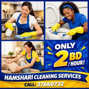 cleaning services homes care