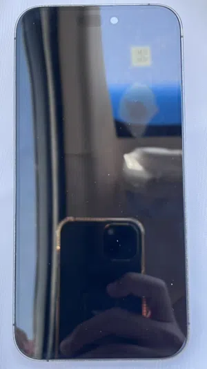 Apple iPhone 14 Pro Max 256 GB in Hail
