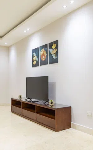 Furnished Daily in Cairo Fifth Settlement