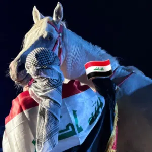 حسن البعاج 