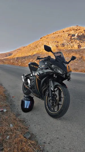 Yamaha . YZF-R3 . 20181