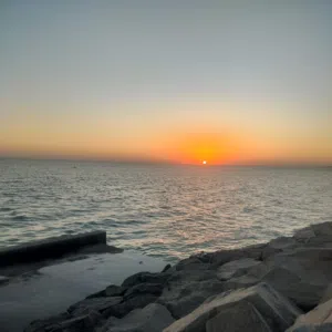 محمود صلاح 