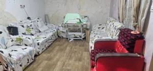 تخم قنفات للبيع