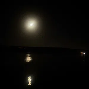 مصعب 