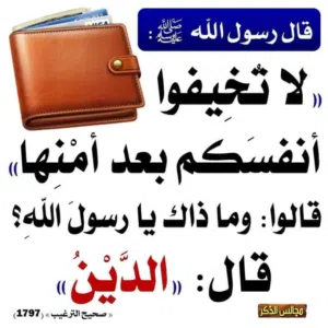 مطلوب مستأجر