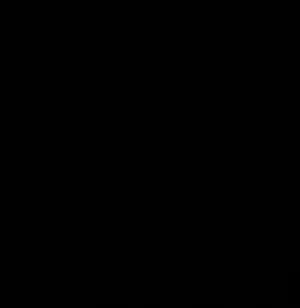 البلوشي. 