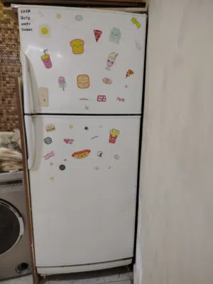 ثلاجه دايو