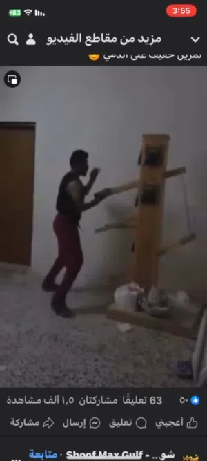 وينغ تشون الدميه الخشبيه
