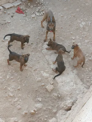 ‏أخرى‏0