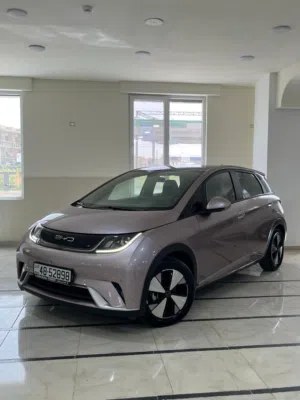 Used BYD Dolphin in Amman