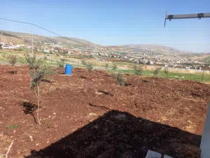 Mixed Use Land for Sale in Nablus Taluza