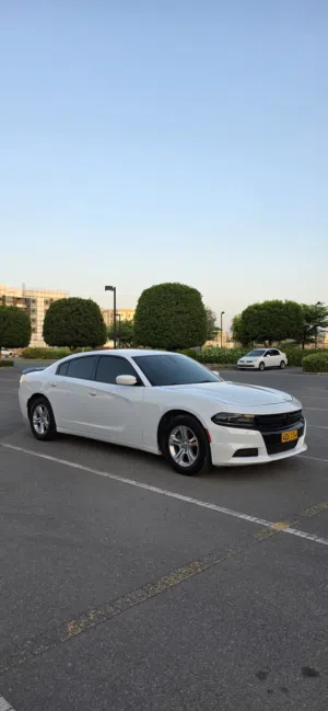 Used Dodge Charger in Muscat