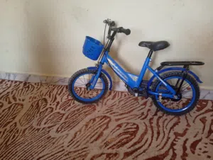 السيكل أموره طيبه