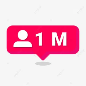 1 M 