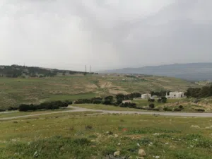 Farm Land for Sale in Jerash Other