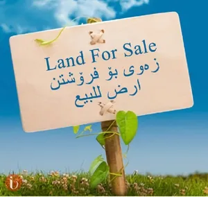 Farm Land for Sale in Mosul Mazari'