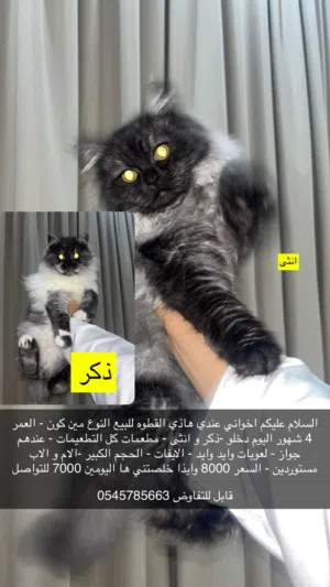 كلمني عسبت اقولك الاشياء الباقيه