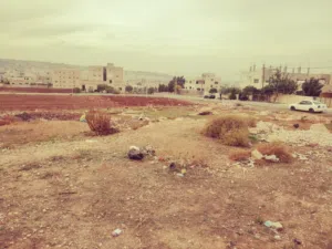 ارض للبيع من اراضي الحصن حوض الجده مساحه 900متر ع شارعين