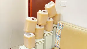 مطلوب شريك او شريكه ممول لمشروع جاهز