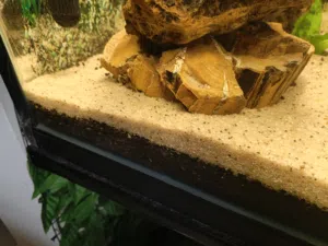 aquarium sand