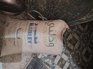 سعتر للبيع جونيه