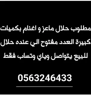 ‏غنم‏3