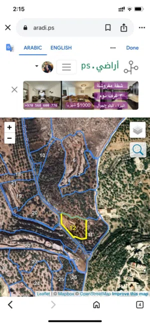 Residential Land for Sale in Jenin Kafr Ra'i
