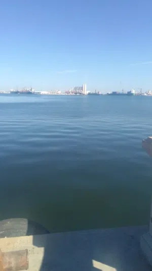 مطلوب كمبيو تراحيت 20 حصان