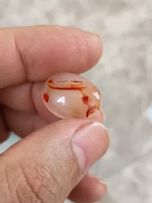 للبيع فصوص يمانية مصورة