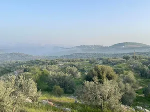 ‏الاستخدام المتعدد ‏.‏ 870 م٢ ‏.‏ المالك‏2