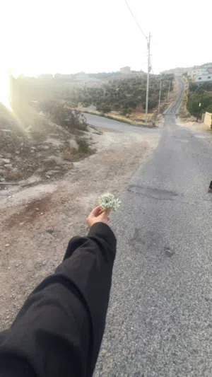مجد الخلايلة 