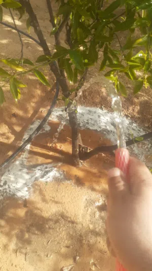 منزل للبيع مسقوف ماشاءالله واسع