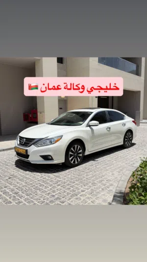 التيما وكالة عمان SL الفول نظيفة جداً