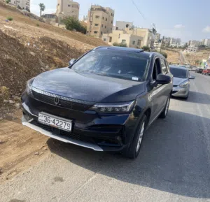 تامر السيوف