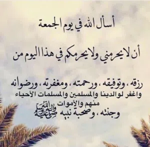 ابو محمد 