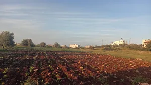 ‏الاستخدام المتعدد ‏.‏ 600 م٢ ‏.‏ الوسيط‏1