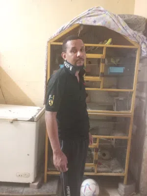 بيع طيور الباجي