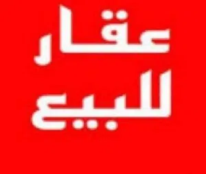 ربع هكتار بئر التركي بسعر ممتاز وقابل للتفاوض