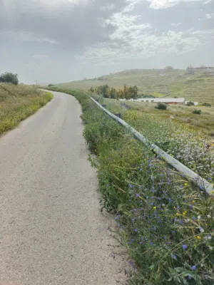 Mixed Use Land for Sale in Mafraq Rhab