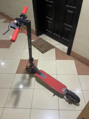 CRONY Electric Scooter - Needs New Battery
